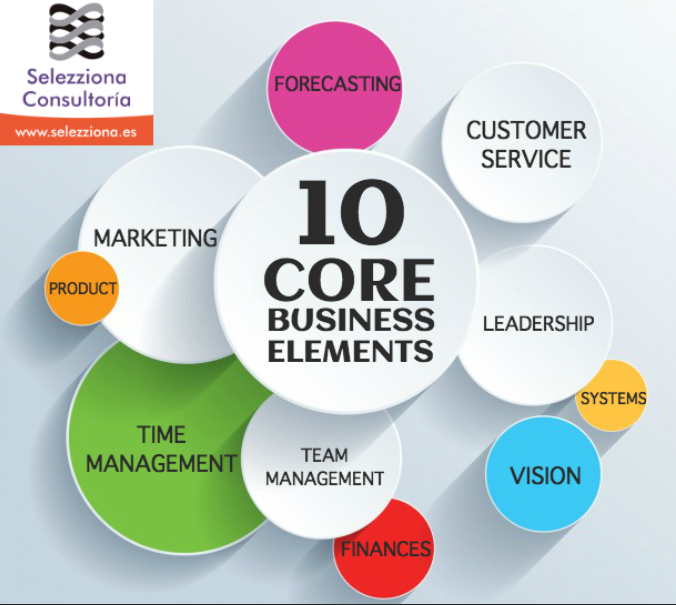 ¿Qué es el core business dentro de las empresas? 1 elementos del core business