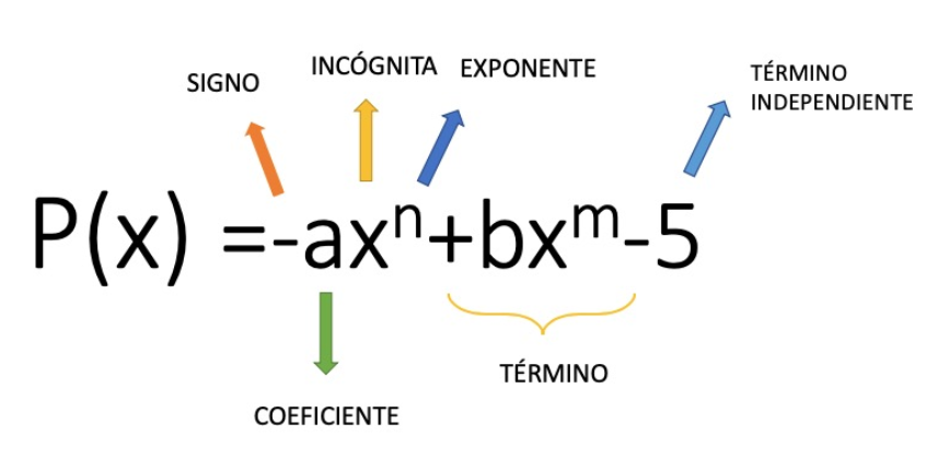 Aprende a simplificar polinomios con este sencillo truco 1 simplificar polinomios