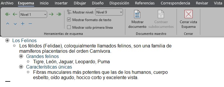 hacer un esquema en Word