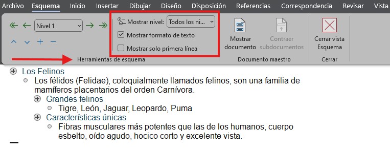 hacer un esquema en Word