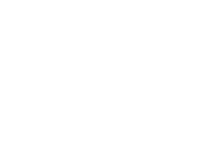 Recurso 39