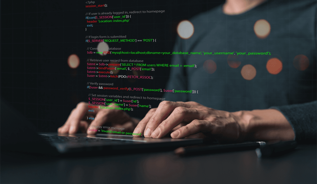 Desarrollo propio en IT